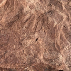 Дракон розовый